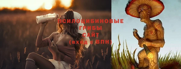 PSILOCYBIN Алзамай