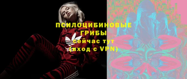 СК Алексеевка