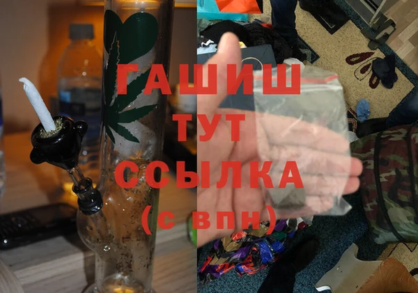 PSILOCYBIN Алзамай