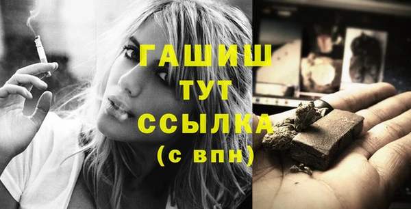 PSILOCYBIN Алзамай