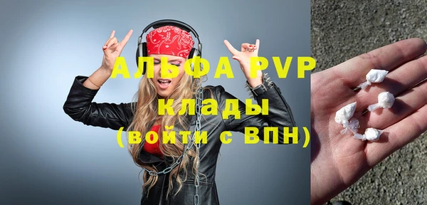 стаф Алексин
