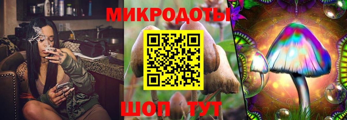 Галлюциногенные грибы GOLDEN TEACHER Глазов